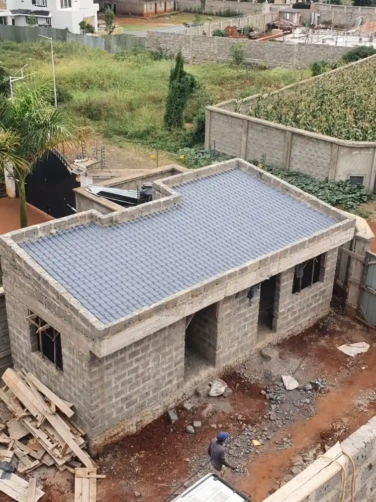 Low Budget Construction